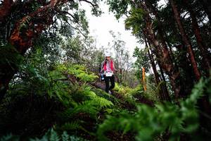 BIB: 
                            <button type="button" onclick="openModal(26204651)" class="btn btn-primary btn-sm float-right btn-popup" data-toggle="modal" data-target=".modal-high-quality">
                        <i class="fas fa-shopping-cart"></i> Add to Cart
                    </button>
                                            <button type="button" onclick="isThisMe(26204651, true)" class="btn btn-success btn-sm float-right btn-popup btn-isme hidden" data-toggle="tooltip" data-placement="bottom" title="นี่คือรูปของคุณใช่ไหม คลิกที่นี่เพื่อเอาเข้าอัลบั้ม">
                        <i class="fas fa-plus"></i> Add to album
                    </button>
                    <button type="button" onclick="isThisMe(26204651, false)" class="btn btn-warning btn-sm float-right btn-popup btn-isnotme hidden">
                        <i class="fas fa-ban"></i> Remove from album
                    </button>